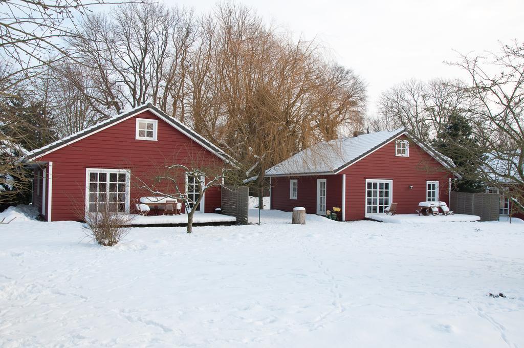 Ferienhof Kolauerhof - Bauernhofurlaub In Grömitz المظهر الخارجي الصورة